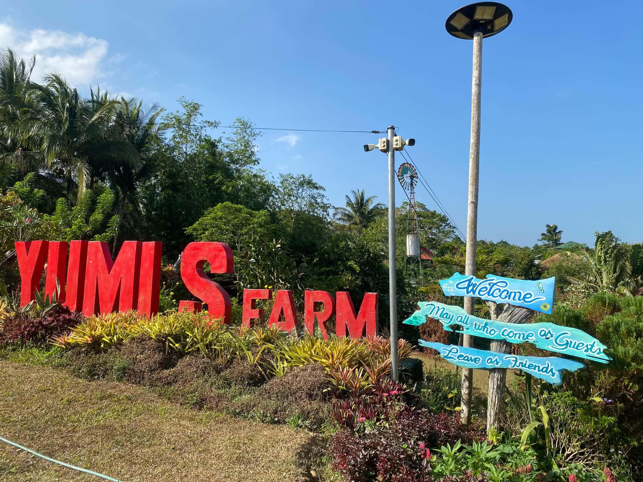 Yumi's Farm