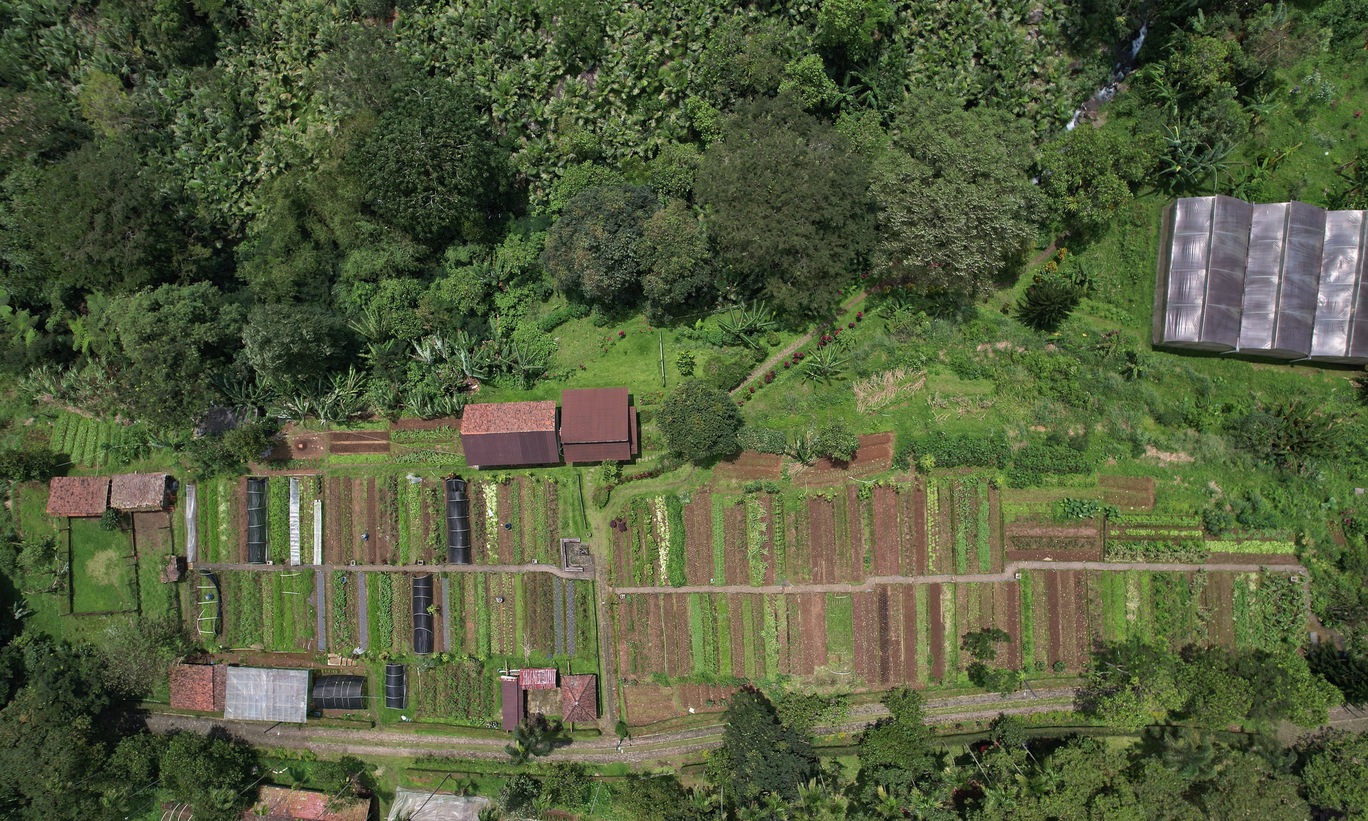 BSP Farm