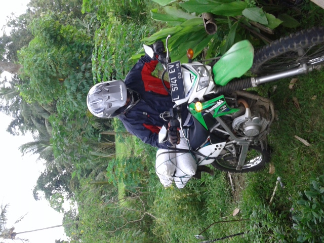 Kebun Mint Organik